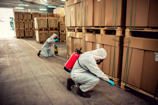 Best Affordable Pest Control Services  in Mechanicsville, MD