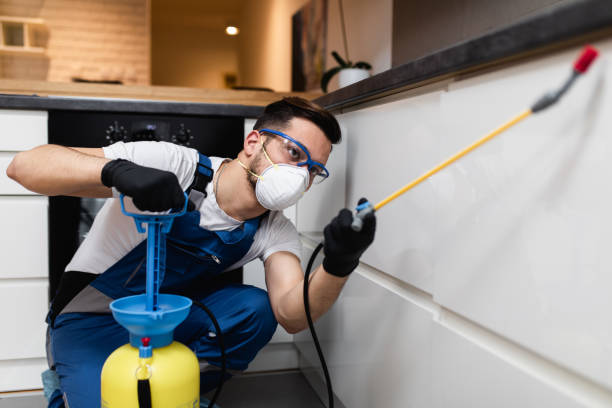 Best Emergency Pest Control  in Mechanicsville, MD