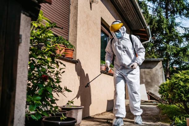 Best Flea Control Services  in Mechanicsville, MD