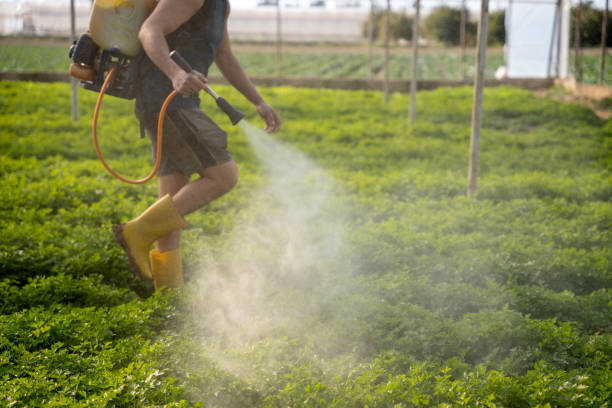 Best Residential Pest Control  in Mechanicsville, MD