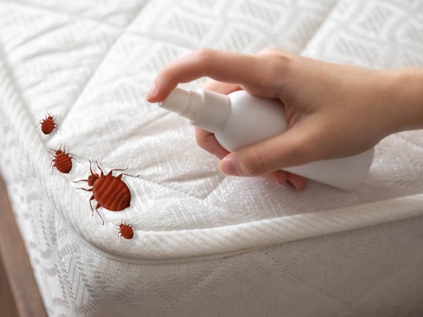 Best Flea Control Services  in Mechanicsville, MD