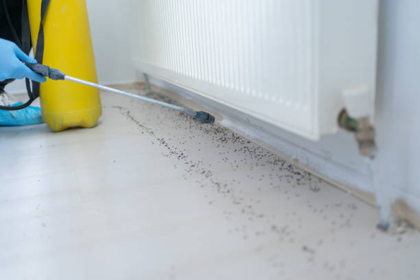 Pest Control Cost in Mechanicsville, MD