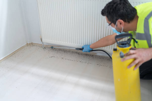 Best Termite Control Services  in Mechanicsville, MD