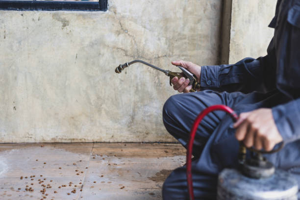 Best Best Pest Control Companies  in Mechanicsville, MD